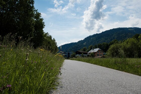 Asphaltierter Wanderweg führt an einer Wiese vorbei auf bewaldete Berge und Häuser zu.