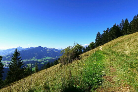 Ein schmaler Wanderweg führt entlang eines Grashangs mit Blick auf bewaldete Berge und ein Tal unter blauem Himmel.