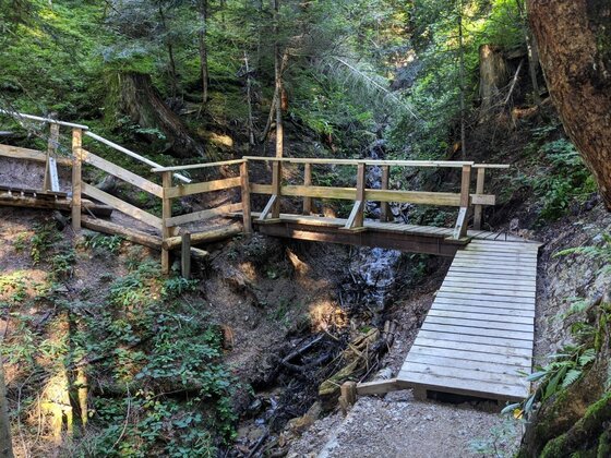 Holzsteg und Treppenanlage über einen kleinen Bachlauf in einem bewaldeten Hang.