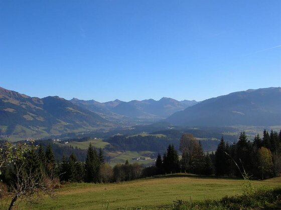 Alpines Panorama bei Appartement Reichwand Blick über eine grüne Wiese und Nadelwälder auf ein weites Gebirgstal unter blauem Himmel.