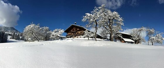 Verschneiter Bauernhof mit Obstbäumen unter blauem Himmel.