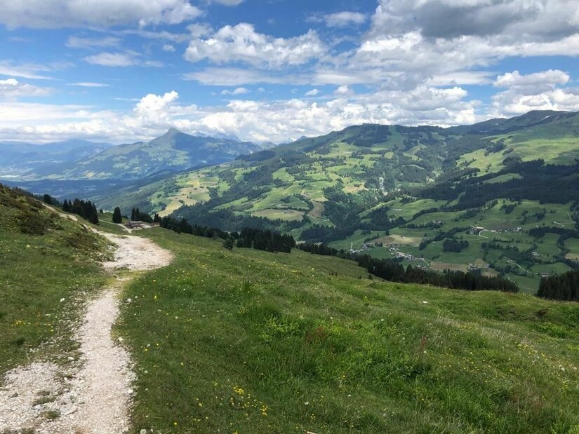 Wanderweg am Wiegalmtrail Schmaler Schotterpfad führt über eine grüne Almwiese mit Blick auf bewaldete Berge unter bewölktem Himmel.