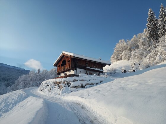 Ein charmantes Holzhaus im Winter, umgeben von schneebedeckten Bäumen. Der Himmel ist klar und blau, und der Weg führt sanft zum Gebäude.