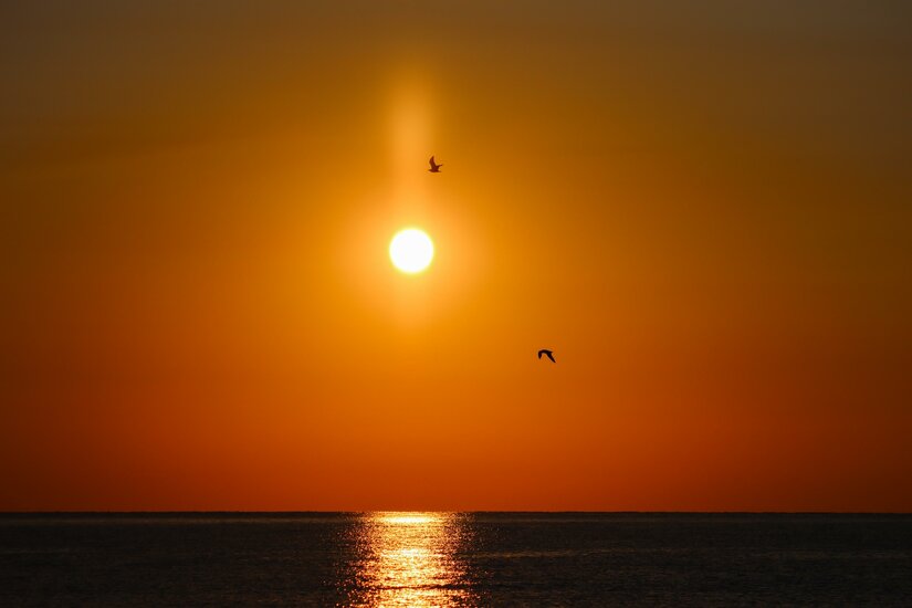 Sonnenuntergang über dem Meer mit zwei fliegenden Vögeln vor orangefarbenem Himmel.