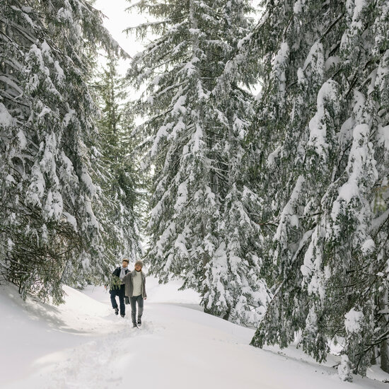 Winterwandern in Kitzbühel