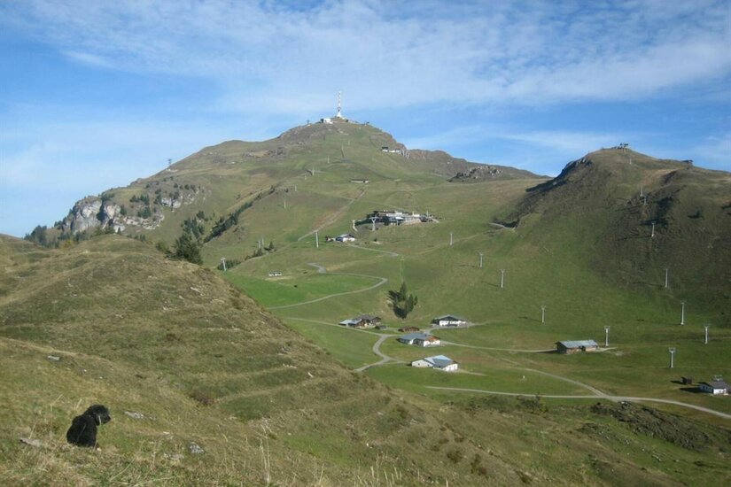 Panoramastraße zum Kitzbüheler Horn Blick auf das Kitzbüheler Horn mit Sendemast, Almhütten, Liftanlagen und Serpentinenweg im Sommer.