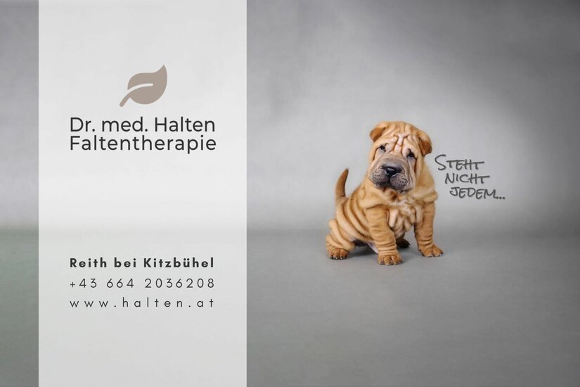Shar-Pei-Welpe vor grauem Hintergrund neben Werbetext für Faltenherapie.