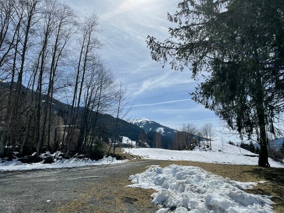 Verschneiter Waldrand mit Blick auf schneebedeckte Berge unter blauem Himmel.