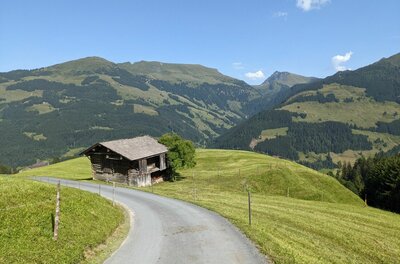 Asphaltierter Bergweg führt an einer alten Holzhütte auf einer grünen Almwiese vorbei, im Hintergrund bewaldete Berge.