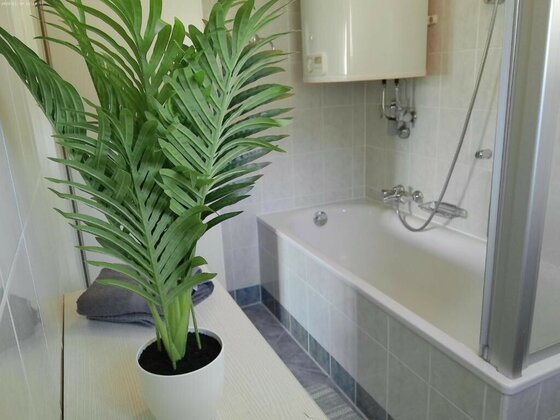 Ein Badezimmer mit einer Badewanne und einer Dusche. Im Vordergrund steht ein Topf mit einer grünen Pflanze.