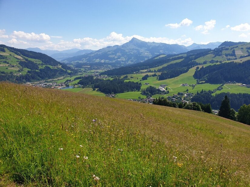 Aussicht von der Kobingerhütte Blick von einer grünen Bergwiese auf ein bewaldetes Tal und markante Berggipfel unter blauem Himmel.