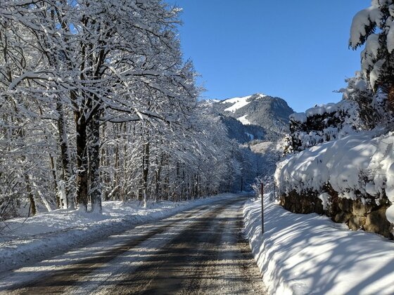 Winterstraße bei Oberaigen Verschneite Straße gesäumt von winterlichen Bäumen mit Blick auf einen Berg unter blauem Himmel.