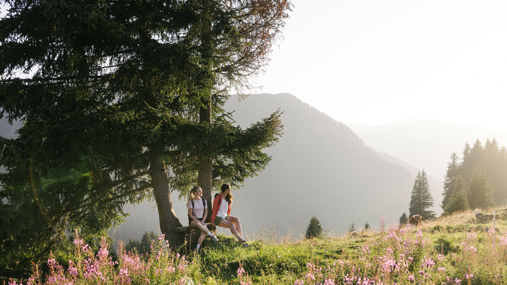 Zwei Wanderer entspannen in den Südbergen von Kitzbühel unter einem Baum, umgeben von blühenden Wiesen und Bergen im Hintergrund.