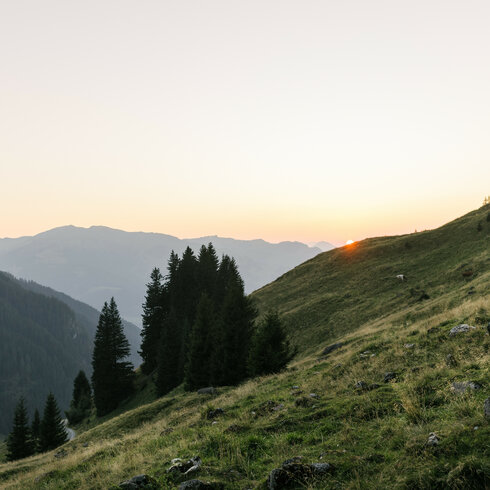 Wandern Südberge
