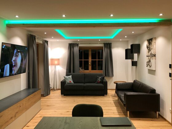 Wohnbereich der Mountainview Lodge Modernes Wohnzimmer mit zwei dunklen Sofas, Fernseher und grüner LED-Deckenbeleuchtung.