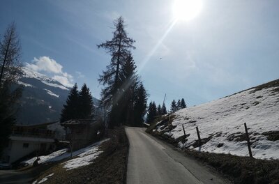 Asphaltierte Bergstraße führt an verschneiten Hängen und Nadelbäumen vorbei unter sonnigem Himmel.