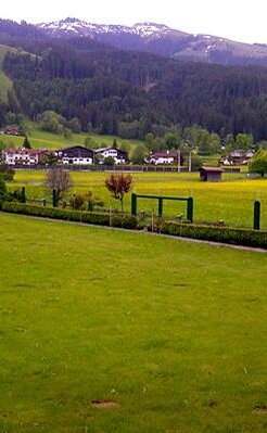 Sommerausblick