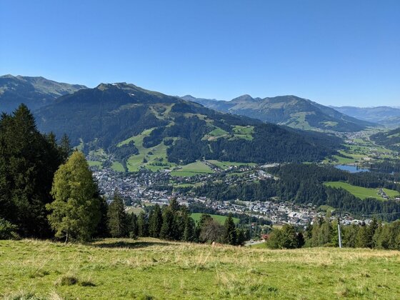 Blick von einer Almwiese auf eine Stadt im Tal und bewaldete Berge unter blauem Himmel.