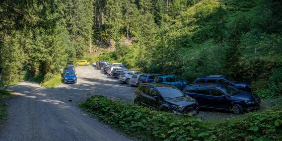 Ein geschotterter Waldparkplatz mit mehreren geparkten Autos am Rand eines Nadelwaldes.