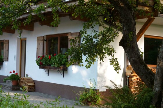 Weiße Hausfassade mit Holzfensterläden, Blumenkästen und einem Baum im Vordergrund.