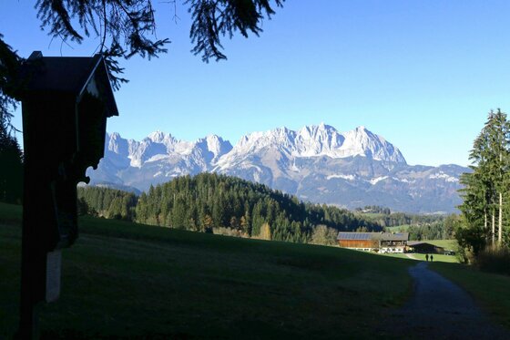 Blick über eine grüne Wiese auf ein bewaldetes Tal und ein markantes Felsmassiv unter blauem Himmel.