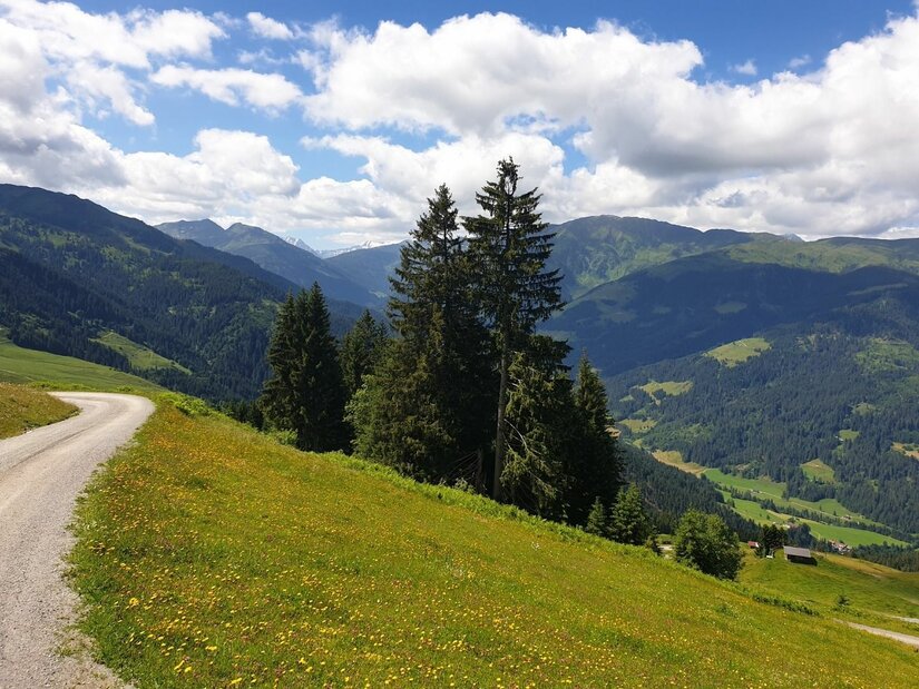 Wanderweg bei der Choralpe Ein geschotterter Bergweg führt an einer grünen Almwiese mit Nadelbäumen vorbei in ein bewaldetes Tal.