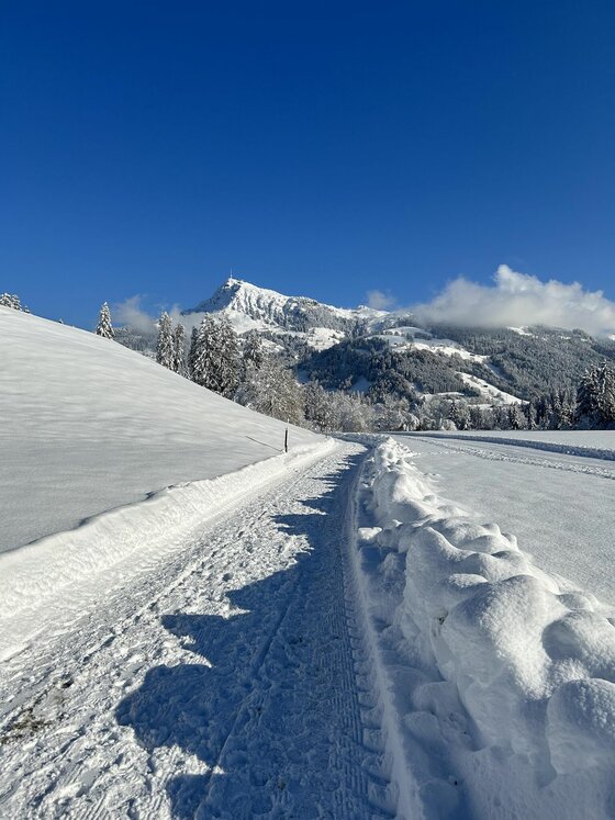 Winterwanderweg am Kitzbüheler Horn Geräumter Winterwanderweg führt durch eine verschneite Alpenlandschaft auf das Kitzbüheler Horn zu.