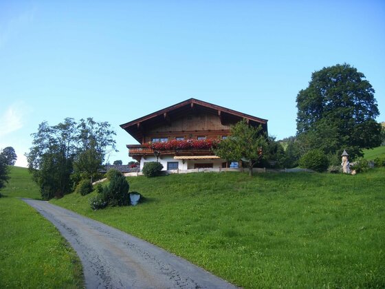 Alpines Holzhaus mit Blumenschmuck auf einer grünen Wiese neben einem Asphaltweg.