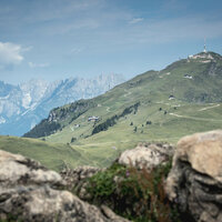 Eine weite, grüne Berglandschaft mit sanften Hügeln und einem klaren Himmel, im Hintergrund majestätische Berge.