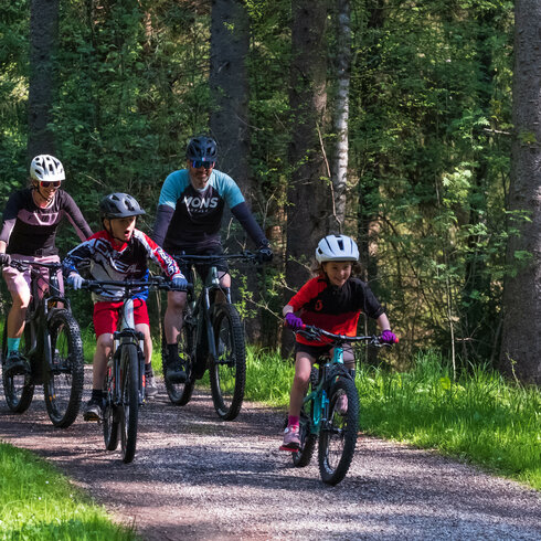 Eine Familie fährt mit Fahrrädern auf einem schmalen Waldweg, umgeben von grünen Bäumen und frischer Natur.