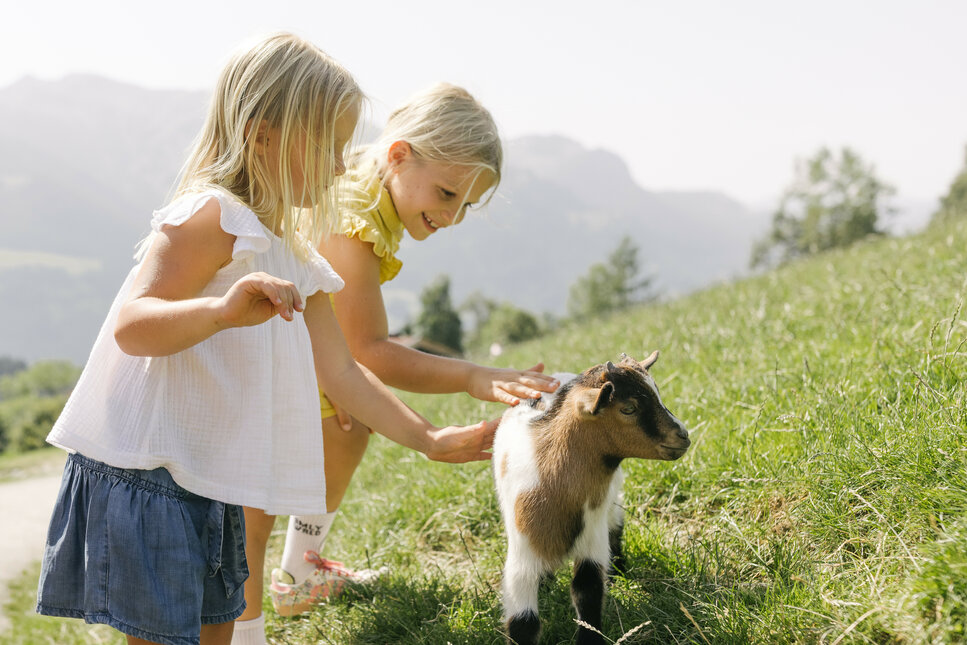 Zwei kleine Mädchen streicheln eine Ziegenjunges auf einer grünen Wiese, umgeben von sanften Hügeln und Bergen im Hintergrund.