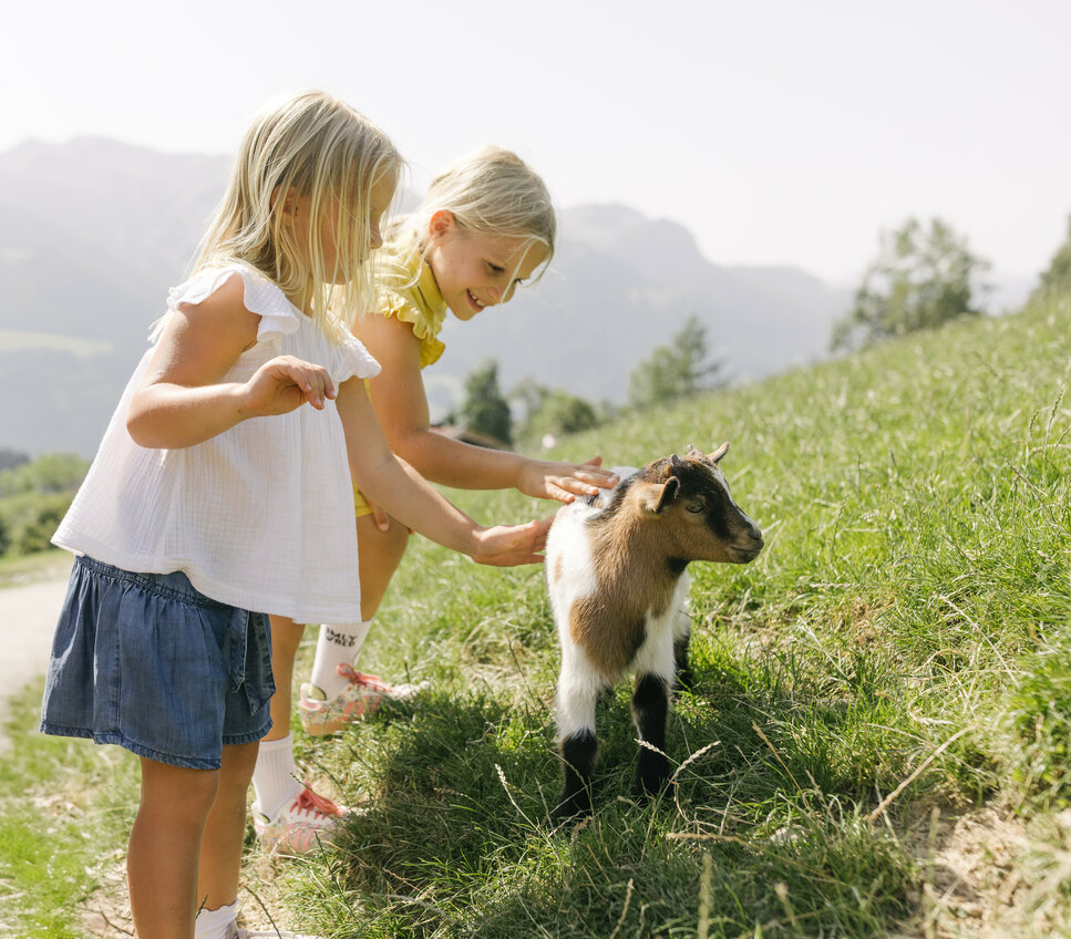 Zwei kleine Mädchen streicheln eine Ziegenjunges auf einer grünen Wiese, umgeben von sanften Hügeln und Bergen im Hintergrund.