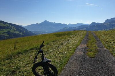 Mountainbike am Obergaisberg Ein Mountainbike steht auf einer Almwiese neben einem Schotterweg mit Blick auf die Berge.