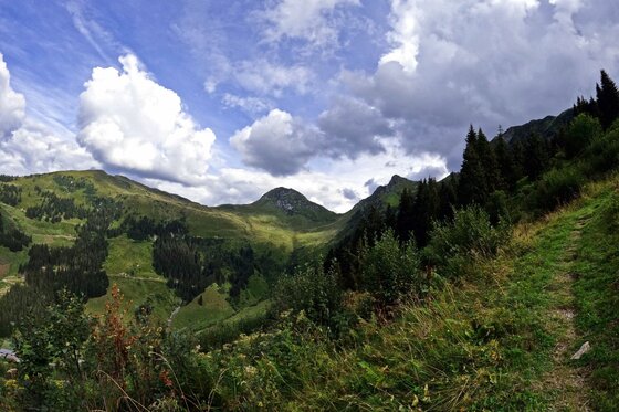 Schützkogel Alpinsteig Schmaler Wanderpfad an einem Grashang mit Blick auf bewaldete Berge und bewölkten Himmel.