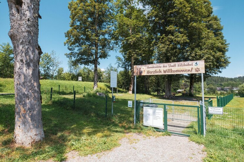 Hundewiese Kitzbühel Eingangstor zu einer eingezäunten Hundewiese mit Willkommensschild und Bäumen im Hintergrund.