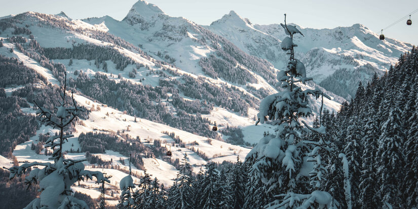 Schneebedeckte Berge bei Kitzbühel erheben sich im Hintergrund, während Bäume im Vordergrund mit Schnee bedeckt sind.