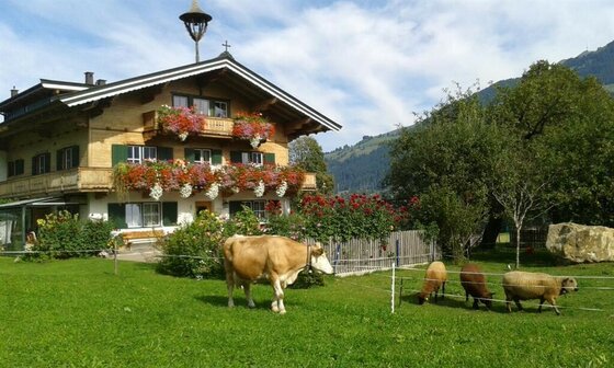 Alpenländisches Bauernhaus mit Blumenschmuck, einer Kuh und Schafen auf einer grünen Wiese vor Bergkulisse.