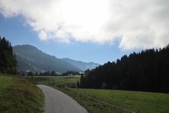 Asphaltierter Weg führt durch grüne Wiesen und Nadelwald vor einer Bergkulisse unter bewölktem Himmel.