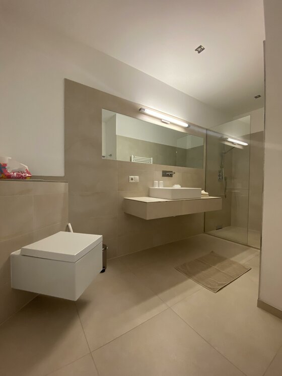 Modernes Badezimmer im Appartement Modernes Badezimmer mit Waschtisch, großem Spiegel, Toilette und ebenerdiger Dusche.