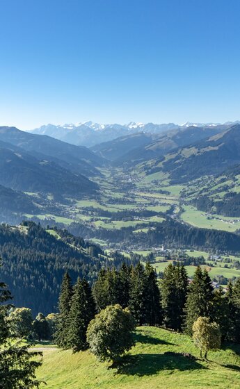 Kulinarische Höhenwanderung Landschaft Kulinarische Höhenwanderung Landschaft