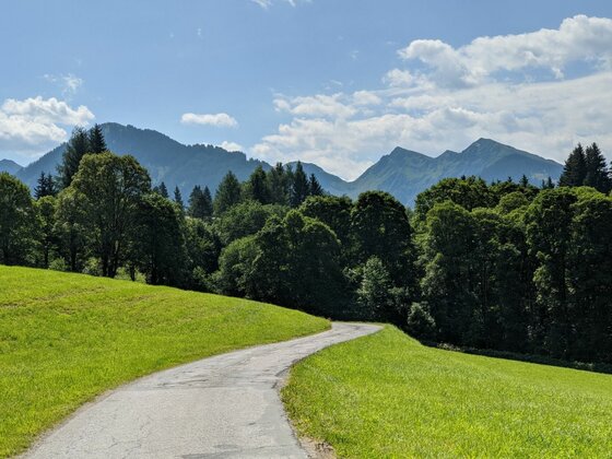 Wanderweg bei Aurach Asphaltierter Wanderweg führt über eine grüne Wiese auf einen Wald und Berge zu.