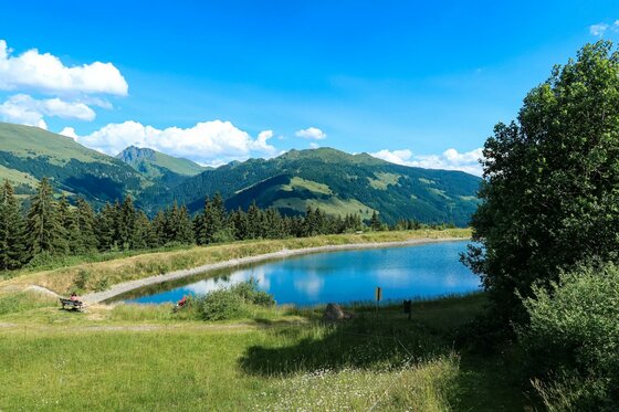 Speicherteich am Jagawurz Lauf Ein künstlich angelegter Speicherteich vor bewaldeten Bergen unter blauem Himmel.