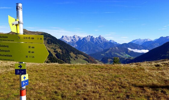Gelbe Wanderwegweiser auf einer Bergwiese vor einem Panorama mit schroffen Berggipfeln unter blauem Himmel.