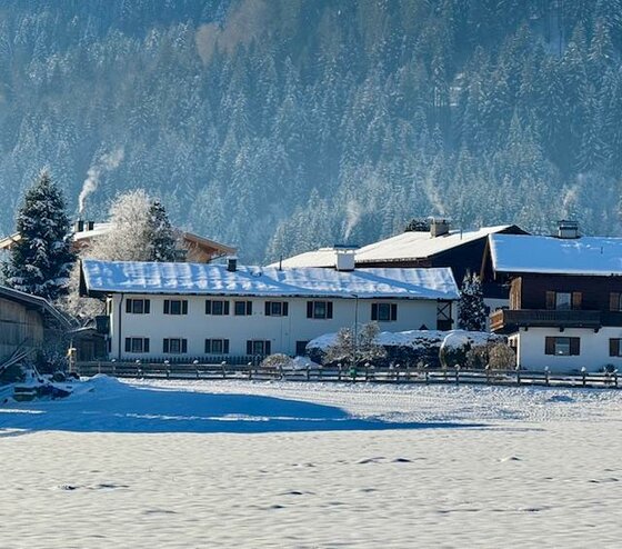 Eine verschneite Landschaft mit traditionellen Holzhäusern. Im Hintergrund stehen hohe, grüne Tannenbäume.