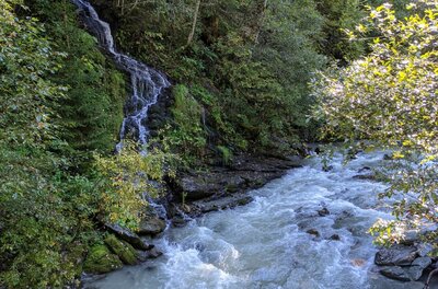 Ein kleiner Wasserfall fließt über dunkle Felsen in einen breiten, schäumenden Gebirgsbach im Wald.