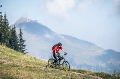 Ein Mountainbiker fährt auf einem schmalen Graspfad bergab vor einer alpinen Bergkulisse mit Sendemast.