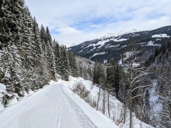 Winterlicher Weg zur Trattenbachalm Verschneiter Forstweg führt durch einen Nadelwald in den Alpen mit Blick auf schneebedeckte Berge.