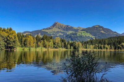 Ein ruhiger See im Vordergrund mit Spiegelung der umliegenden Wälder und einem markanten Berggipfel unter blauem Himmel.