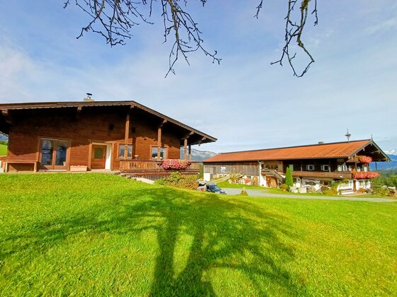 Zwei gemütliche Holzhäuser umgeben von grünem Rasen und einem klaren Himmel. Ideal für einen entspannten Aufenthalt in der Natur.