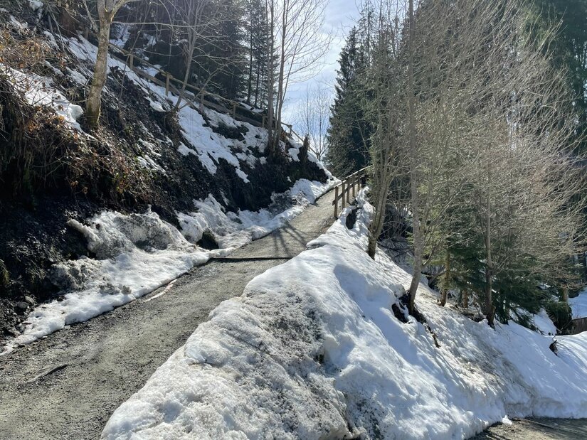 Ein schmaler, schneebedeckter Wanderweg führt steil bergauf durch einen Nadelwald.